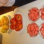 DSC04640