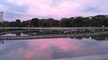 IMG_2460.JPG