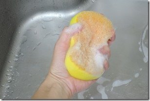DSCN5461