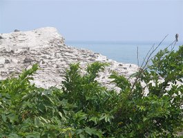 DSCN9756.JPG