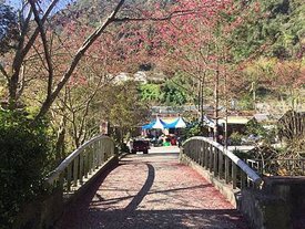 20180225 #1_180225_0034.jpg