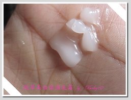 IMG_1523.jpg
