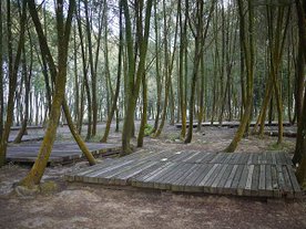 P1030897