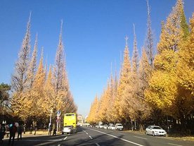 玩樂 (3)
