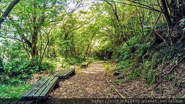IMAG0668.jpg
