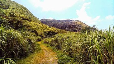IMAG0750.jpg