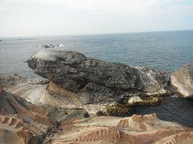 DSCF2386