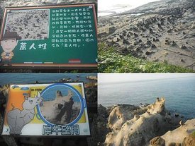 BLOG2482