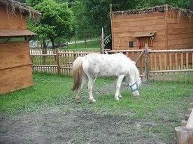 DSCF2807