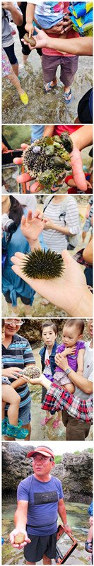 initpintu_副本海膽2.jpg