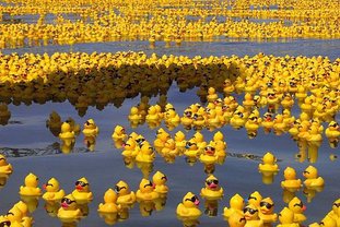 Rubber_Duck_Sea_by_whispering_hills-1