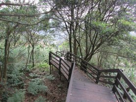 台北找茶園507IMG_4906.JPG