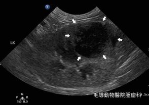 螢幕擷取畫面 2021-06-09 092408.jpg