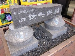 IMG_1338
