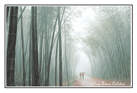 25a8791fe074.gif