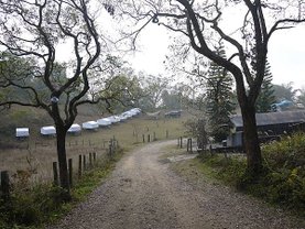 P1030894