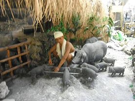 DSCF1355