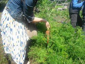 DSCF2726