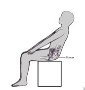 coccyx1.jpg