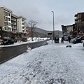 IMG_7435.jpg