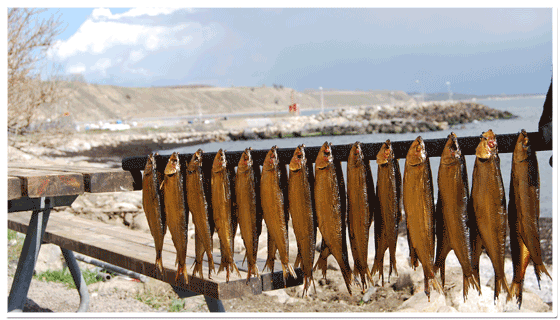 roktsillstrand.gif