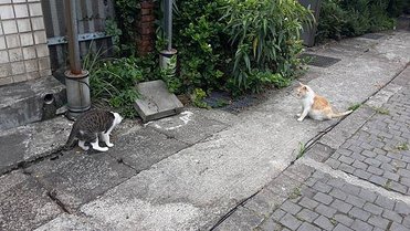 20150703_145319.jpg