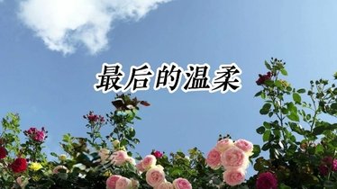 最後的溫柔 愛到如此是 I&apos;m sorry ?