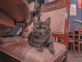 CF7B1A55-B0E2-4B60-9012-0629418B2F3D.jpeg