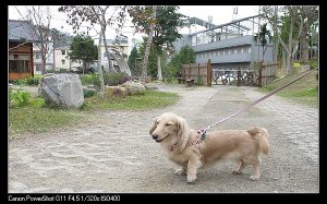 DPP_0107.jpg