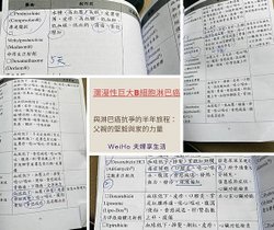 Wei Ho 夫婦 享生活