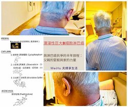 Wei Ho 夫婦 享生活