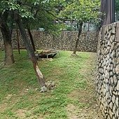 20170620_121024.jpg