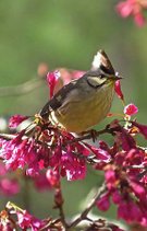 IMG_5417.JPG