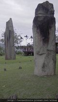 2010-11-18  同學會- 中橫花蓮    141