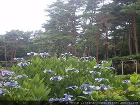 2009-07-02 遊箱根 037