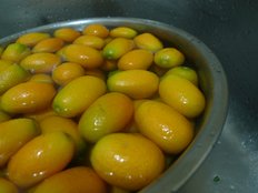 照片 190.jpg