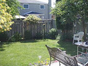 backyard2.JPG