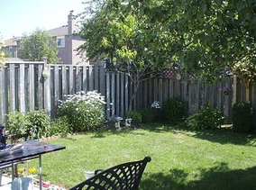 backyard3.JPG