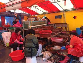 IMG_3836.JPG