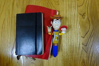 DSCF1056.JPG