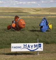 What the Hay 07.jpg
