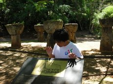 DSCN3003.JPG