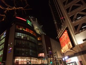 DSCF2493.JPG