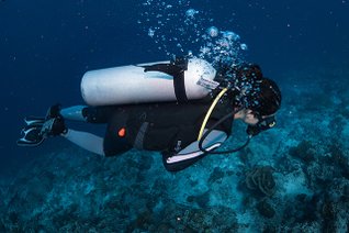 20190717_HOUSEREEF-65.jpg