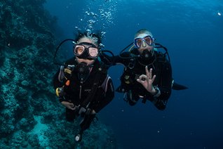 20190717_HOUSEREEF-67.jpg