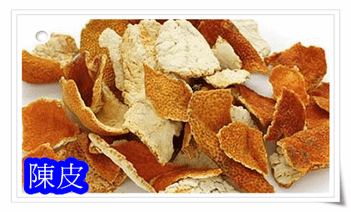 陳皮(001).png