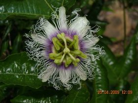 DSCN6357.JPG