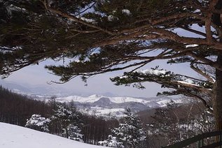 20170121_170126_0366.jpg