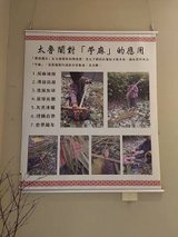 萬榮鄉