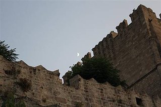 IMG_1317 (Medium).JPG